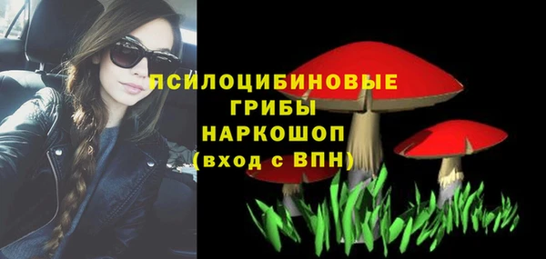молекула духа Верея