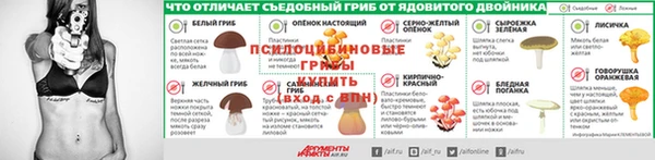 мяу мяу мука Волоколамск