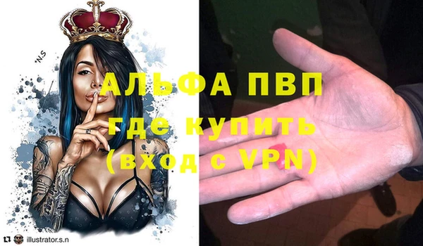 шишки Верхний Тагил
