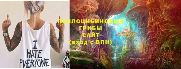 шишки Верхний Тагил